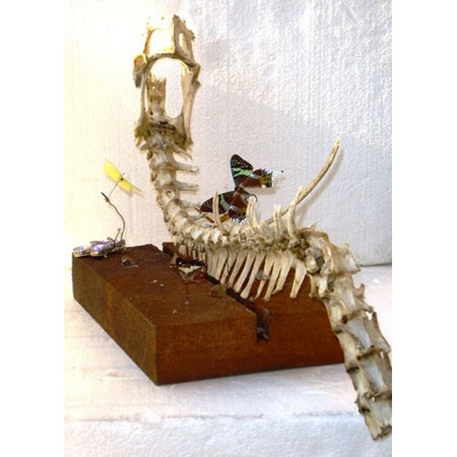 Indagine